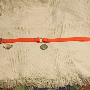 New Coastal Waterproof Dog Collar